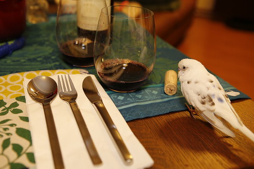 Budgerigar Bird Food