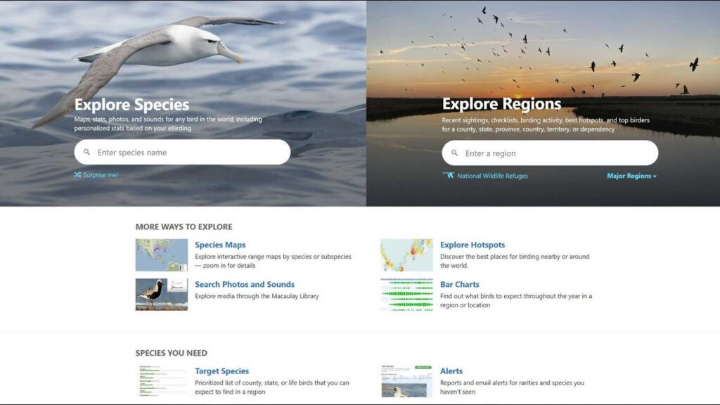 Discover the Top Birdwatching Sites – Where are the Best Locations?