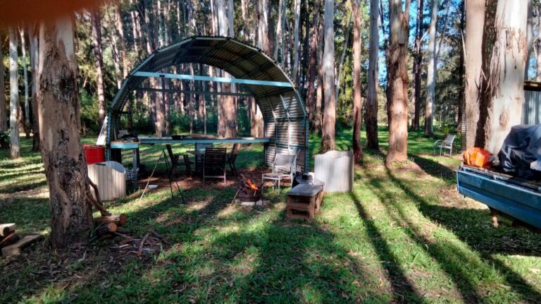 The Top Places to Spot Cockatoos: A Birdwatcher’s Dream