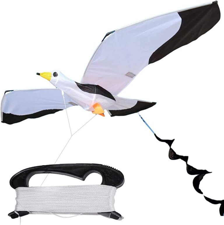 Fly High with Exciting Birdwatching Activities for Kids!