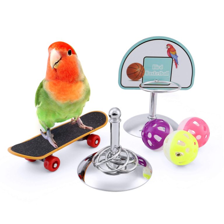 Lovebirds Training Tips