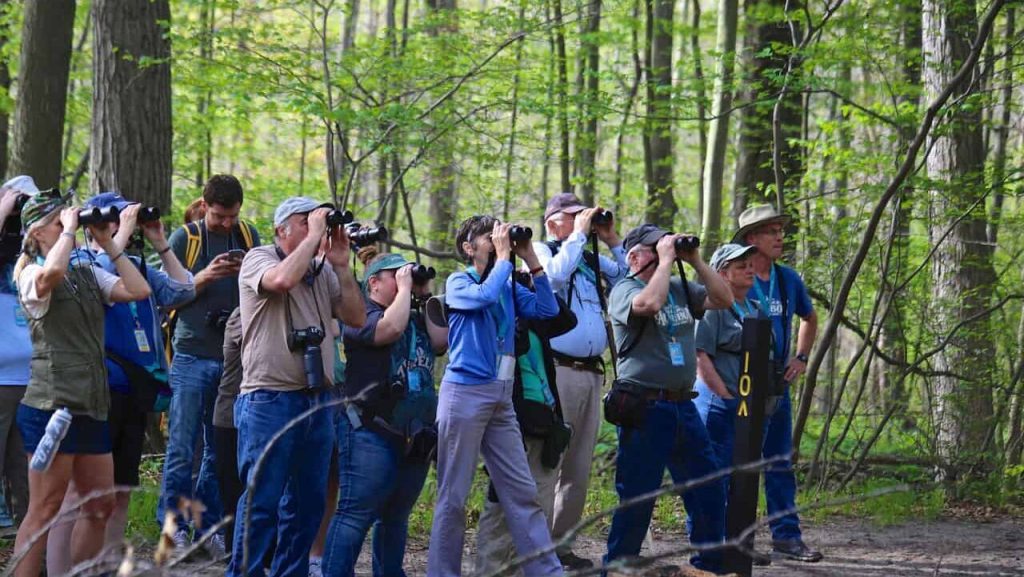 Birdwatching Events and Festivals to Experience