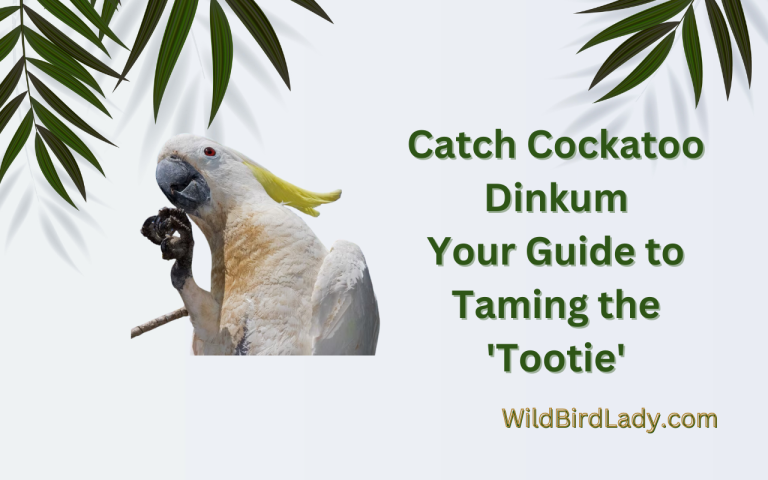 Catch Cockatoo Dinkum