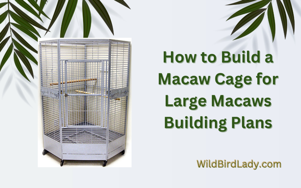 How to Build a Macaw Cage for Large Macaws – Building Plans