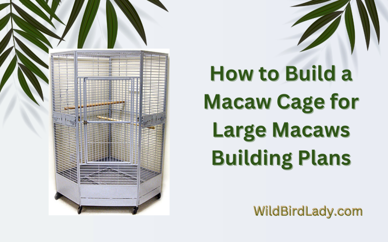 how to build a macaw cage