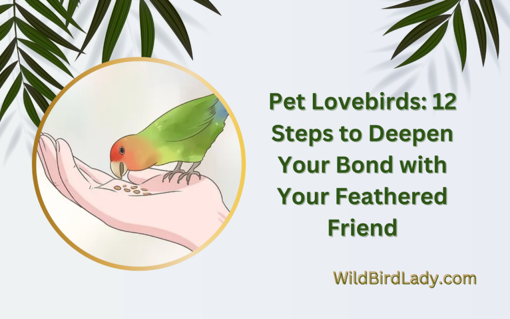 Pet Lovebirds: 12 Steps to Deepen Your Bond with Your Feathered Friend