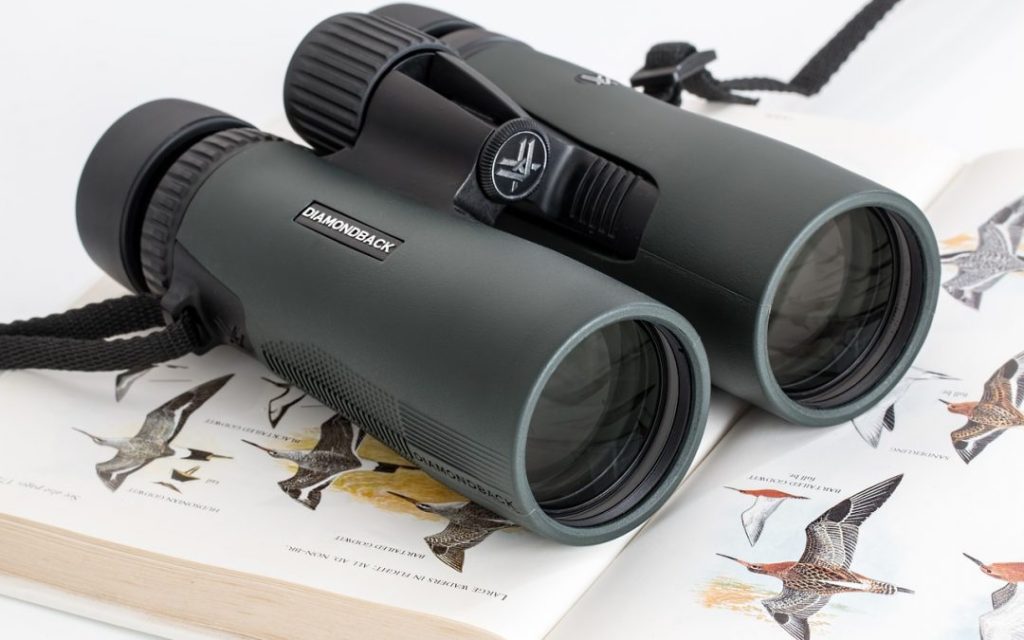 The Essential Equipment for Birdwatching