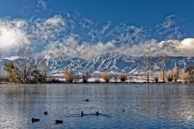 Birding in Wonderland: Top Winter Spots to Watch Colorado’s Birds