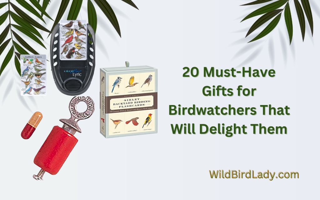 20 MustHave Gifts for Birdwatchers That Will Delight Them
