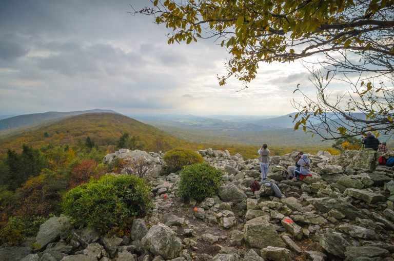 Breathtaking Spots for Hawk Migration