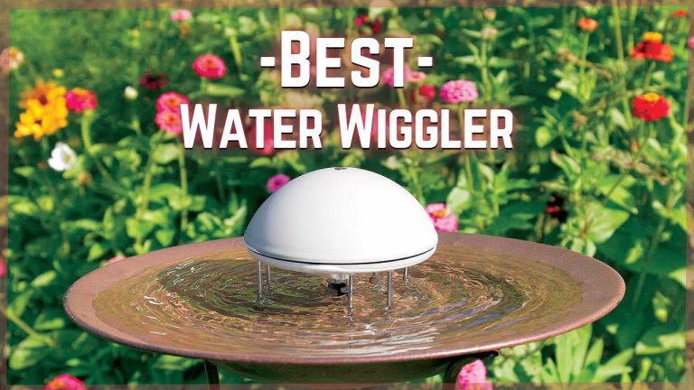 Ultimate Water Wigglers for Bird Baths