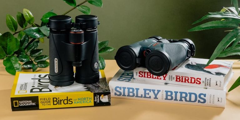 Compact Binoculars for Birdwatching