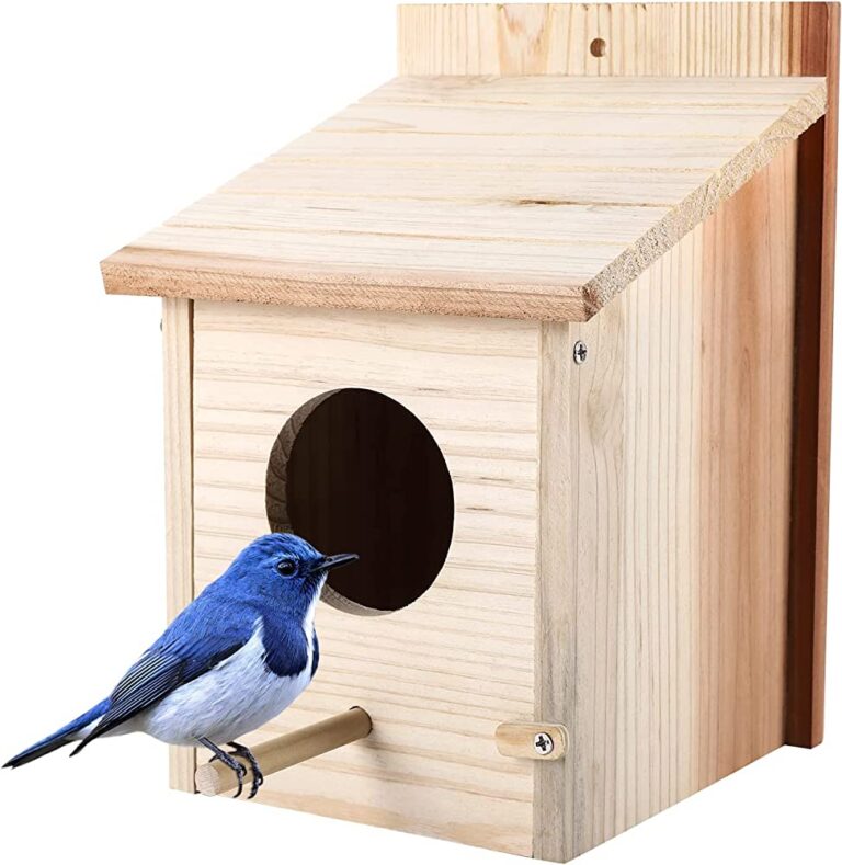 Nest Box Care Tips