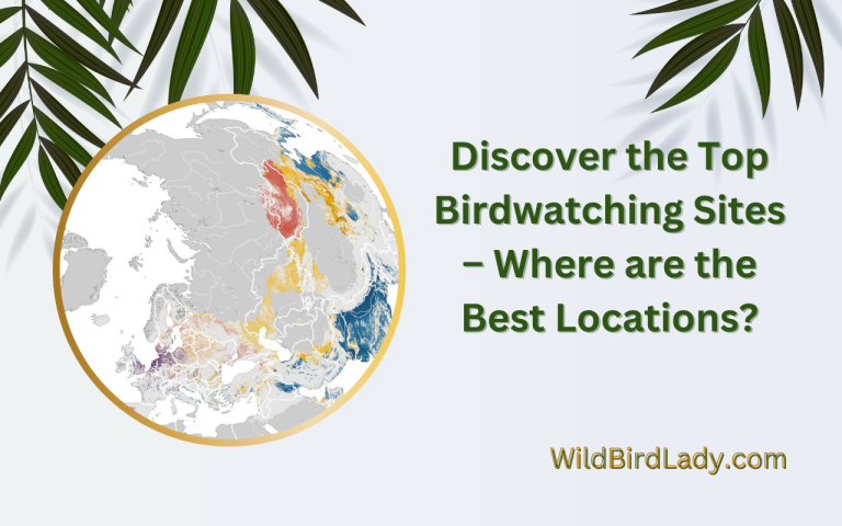 Top Birdwatching Sites