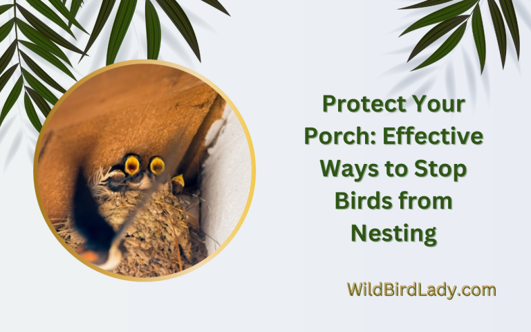 how to stop birds from nesting on your porch