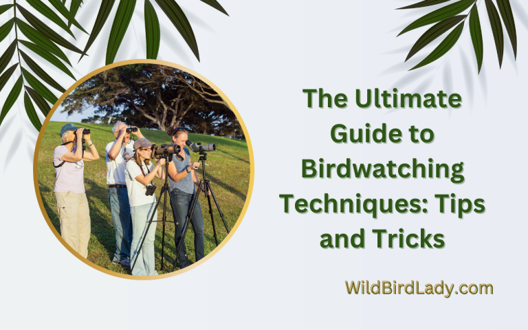 The Ultimate Guide to Birdwatching Techniques