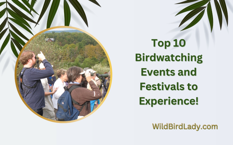 Birdwatching Events and Festivals