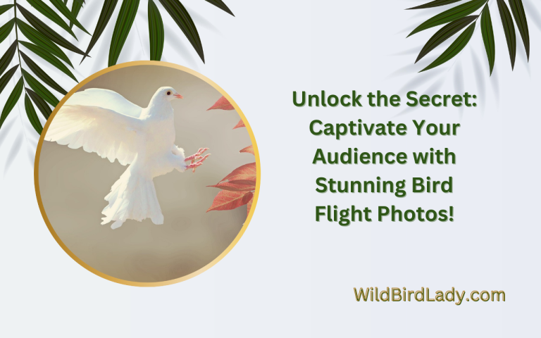 Captivate Your Audience with Stunning Bird Flight Photos