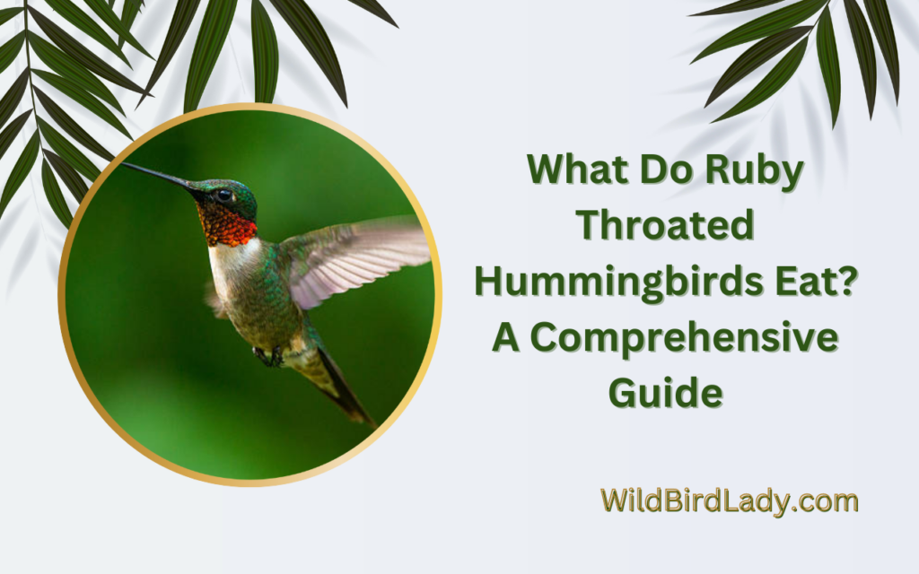 What Do Ruby Throated Hummingbirds Eat? A Comprehensive Guide
