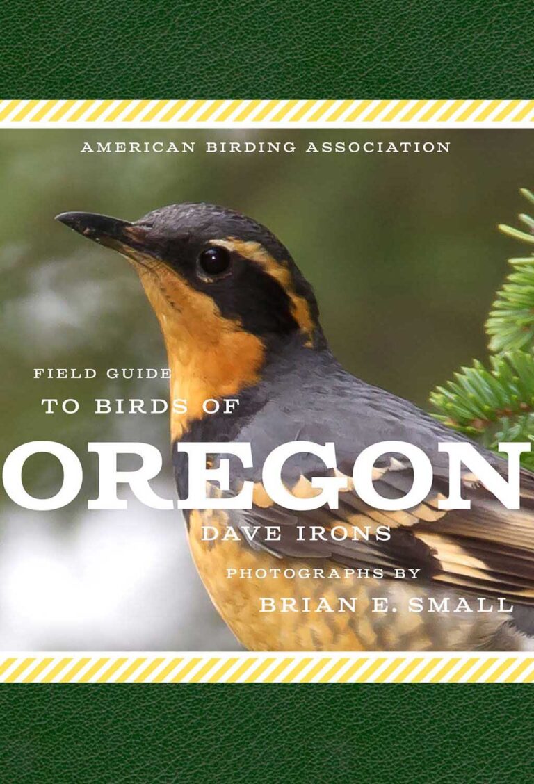 Birdwatching in Oregon