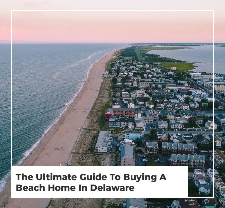 Delaware's Premier Birdwatching Destinations