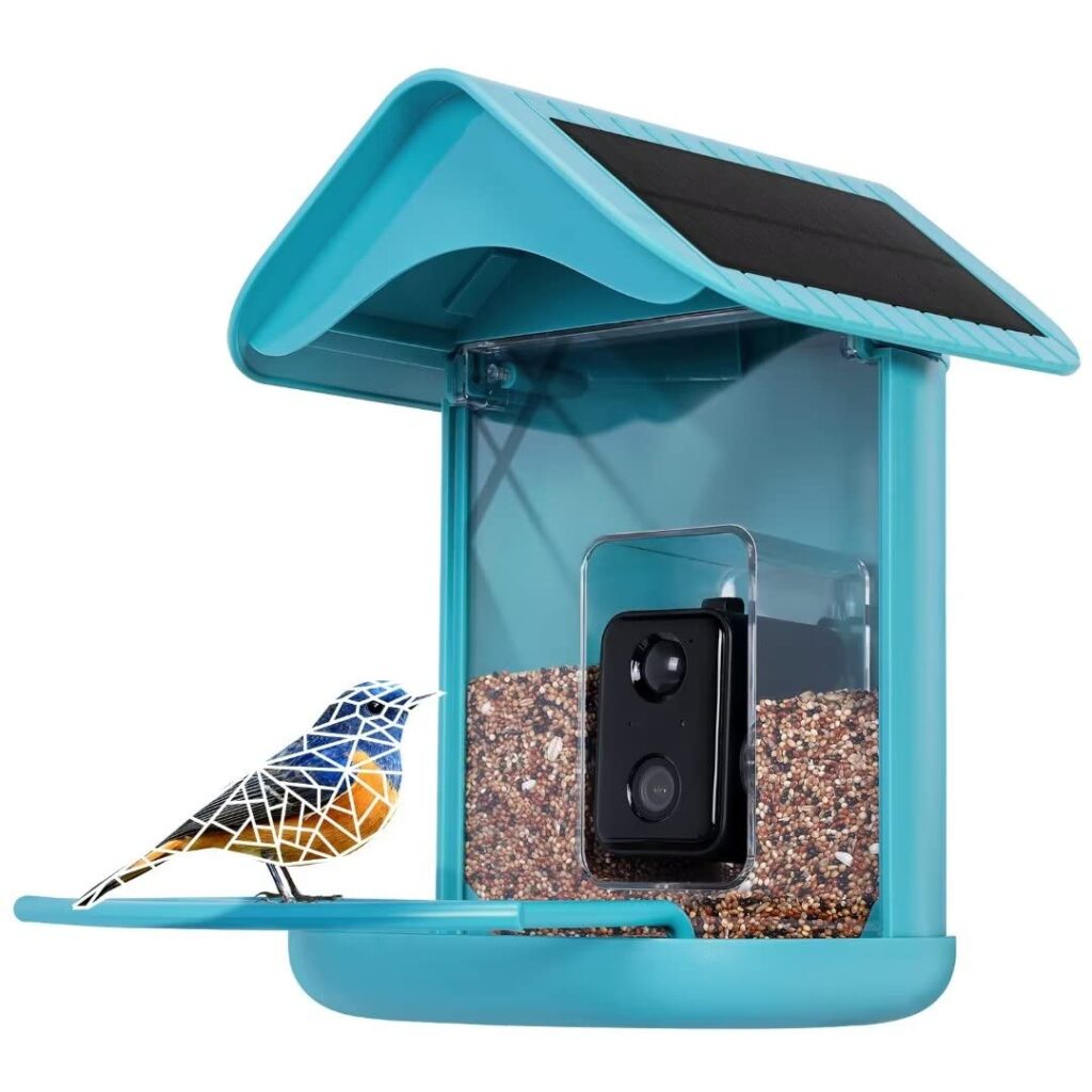 The Ultimate Bird Watching Experience: Best Wireless Camera Feeder