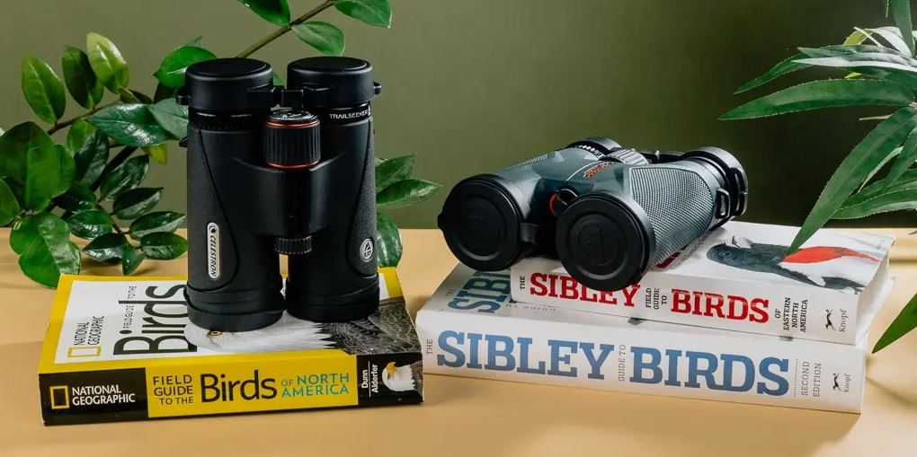 Compact Binoculars for Birdwatching