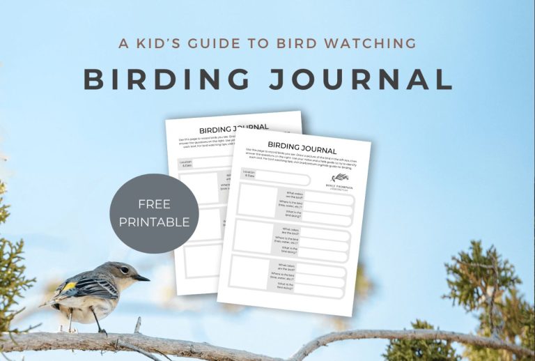 Guide to Bird Watching Journals