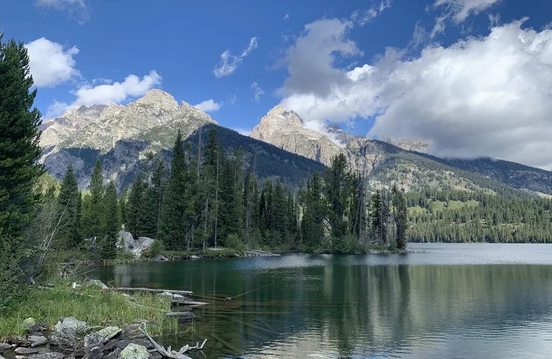 Best bird watching trails in United States