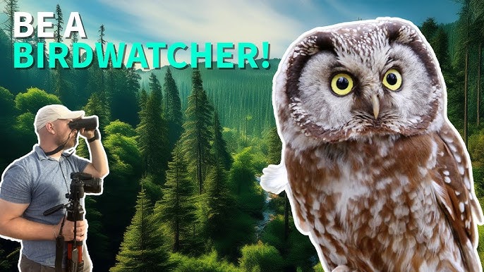 Birdwatching 101: The Ultimate Guide To Get Started