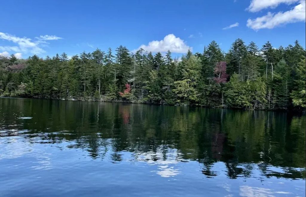 Green River Reservoir State Park - Spots for Vermont Birding