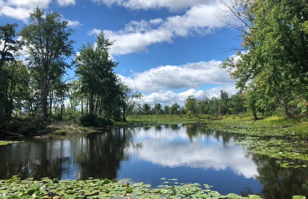 Missisquoi National Wildlife Refuge - Spots for Vermont Birding