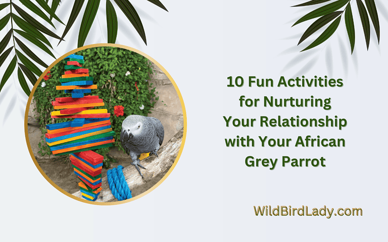 10 Fun Activities for Nurturing Your Relationship with Your African Grey Parrot