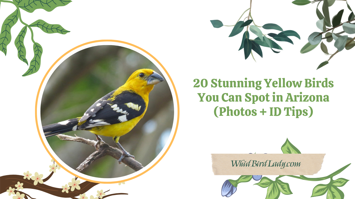 20 Stunning Yellow Birds in Arizona