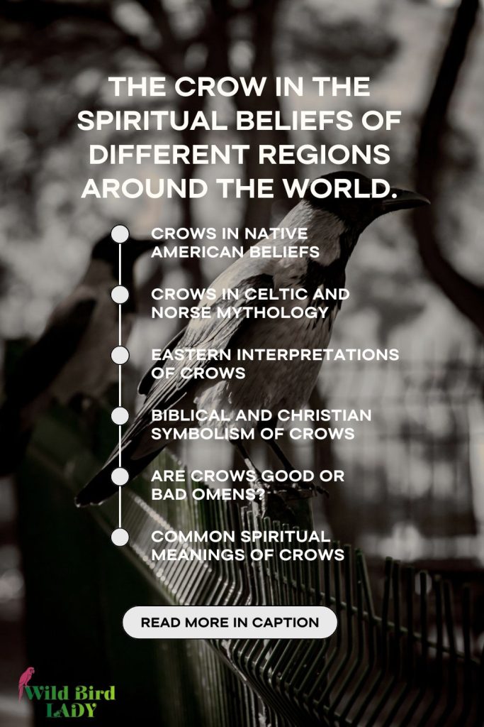Crows Spiritual Meaning: Decoding Their Mystical Signs & Symbolism