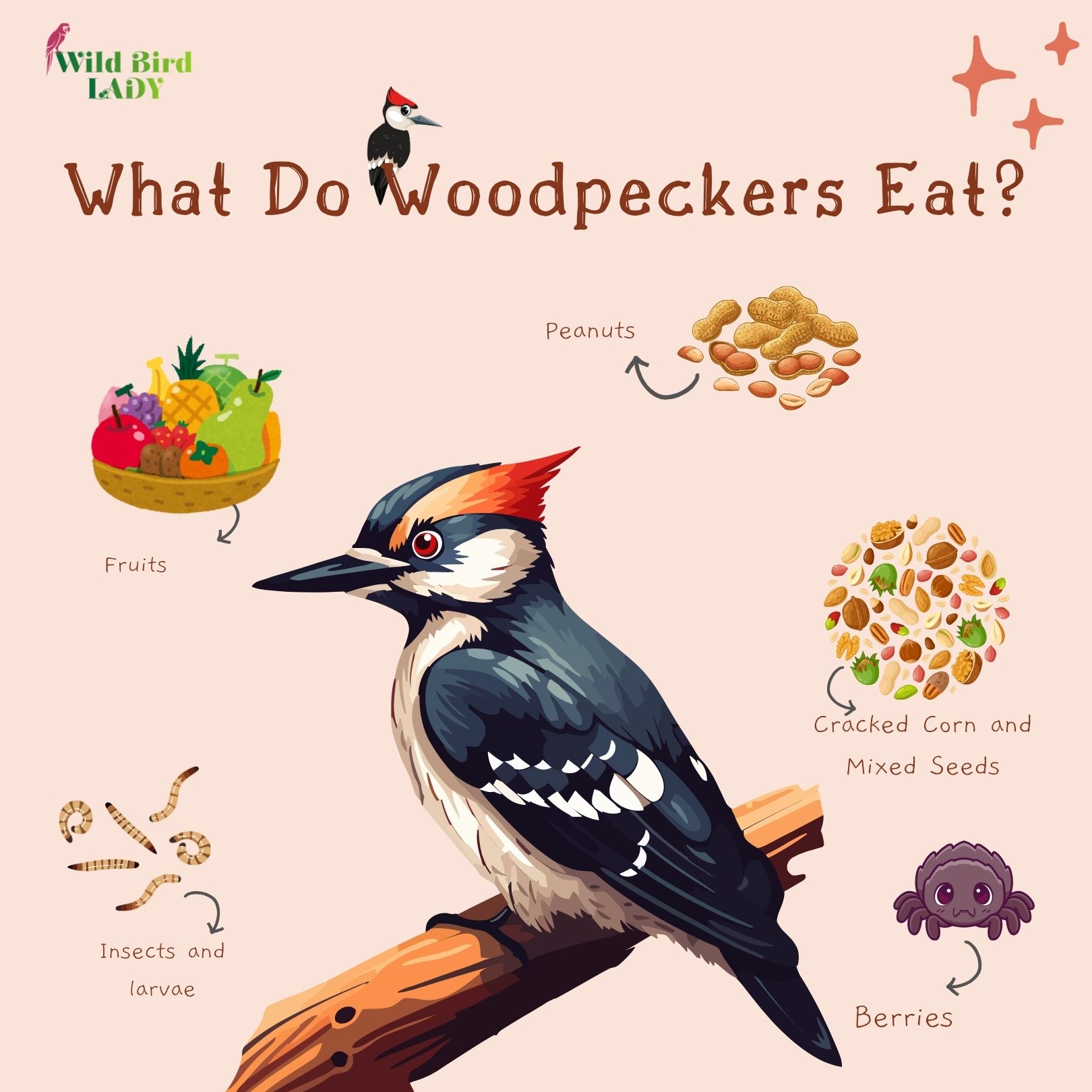 What Do Woodpeckers Eat?