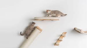 What Is a Climbing Structure for Pets