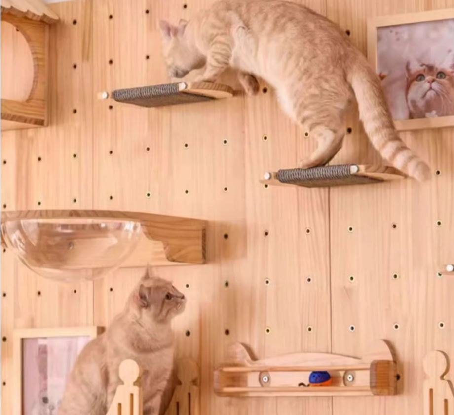 What Is a Pet Climbing Structure