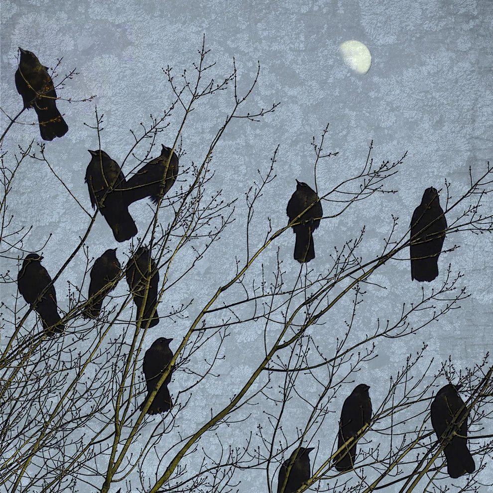 What Is a Flock of Crows Called? Discover the Spooky Origins and Symbolism