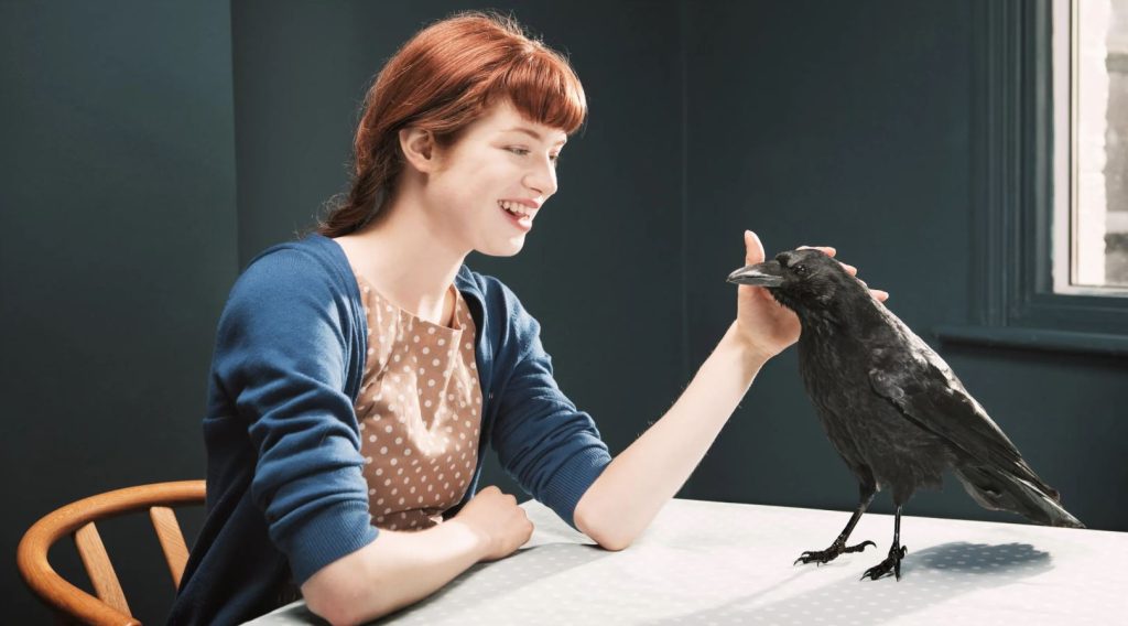 Crows Mimic Human