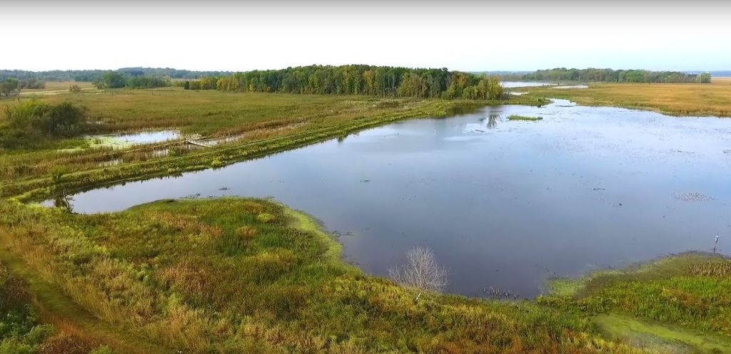 Horicon Marsh