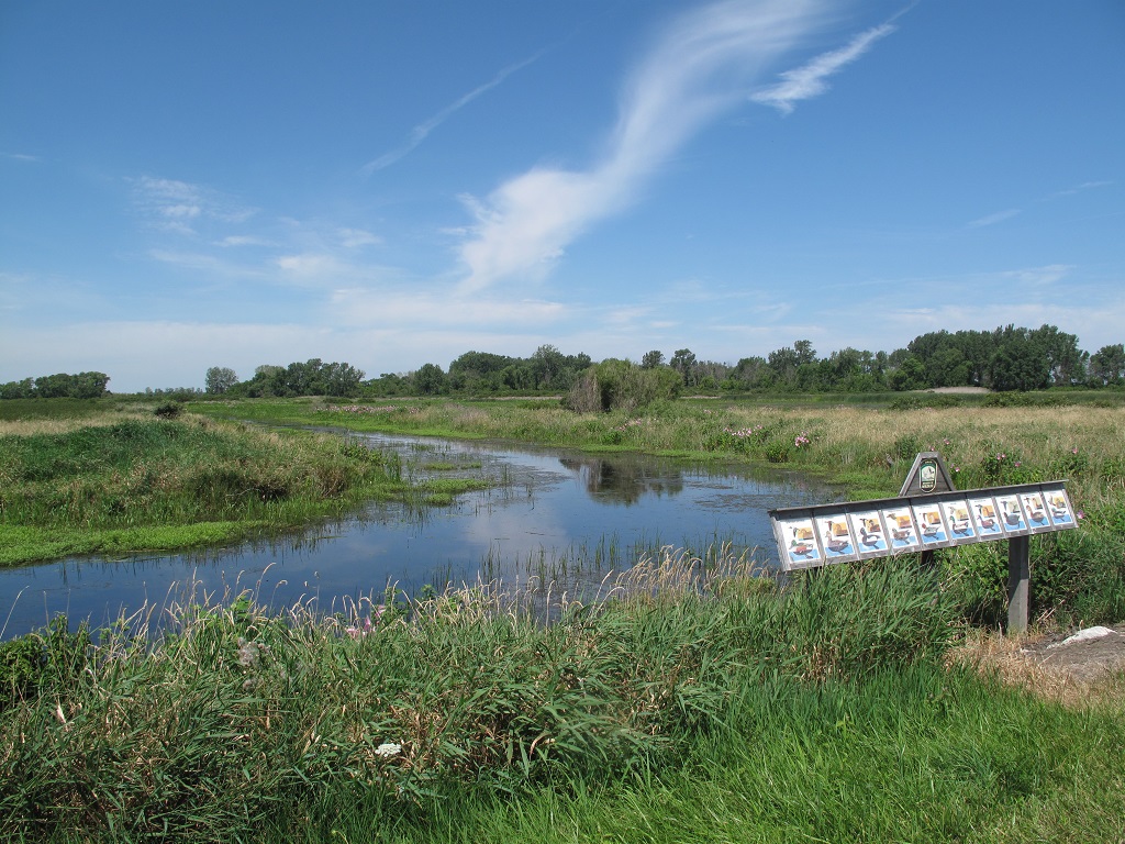 Magee Marsh Wildlife Area