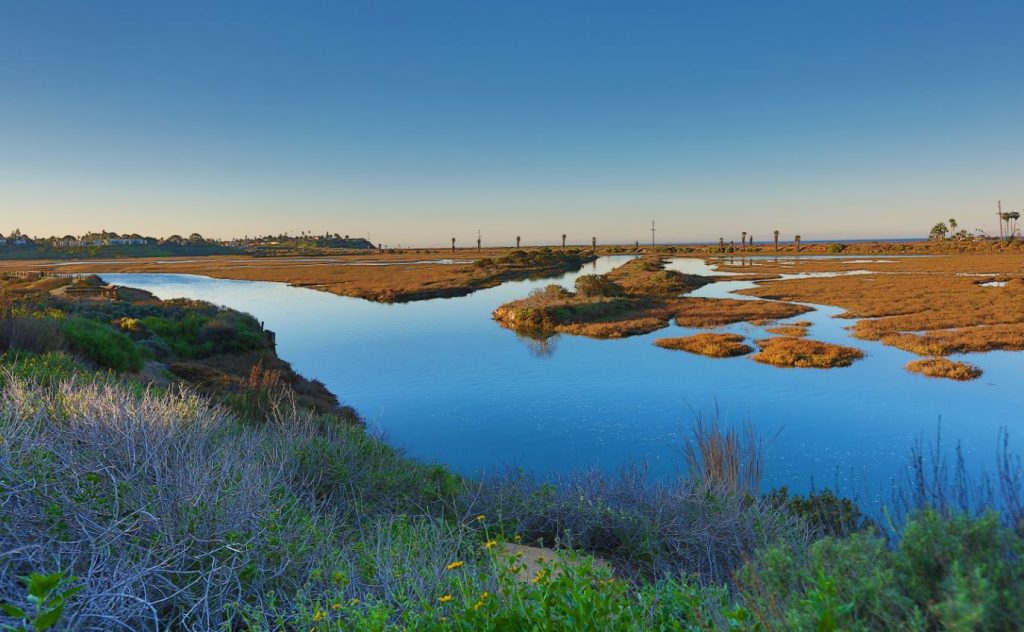 San Diego Birding Hot Spots