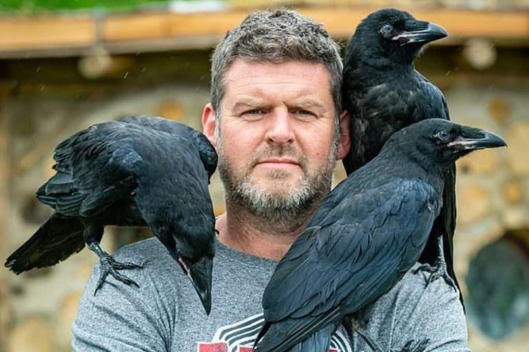Why Can’t You Tame a Crow