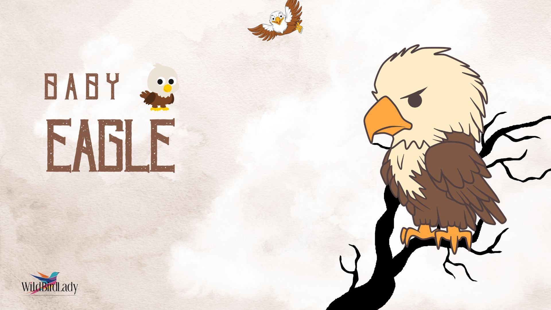 Baby eagle