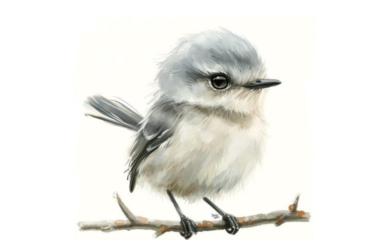 Baby Mockingbird