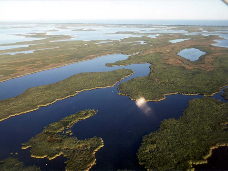 Delta Marsh
