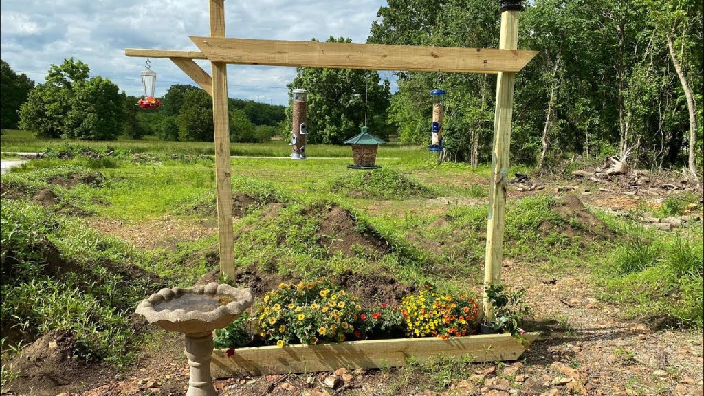 How to Create a Bird-Friendly Backyard