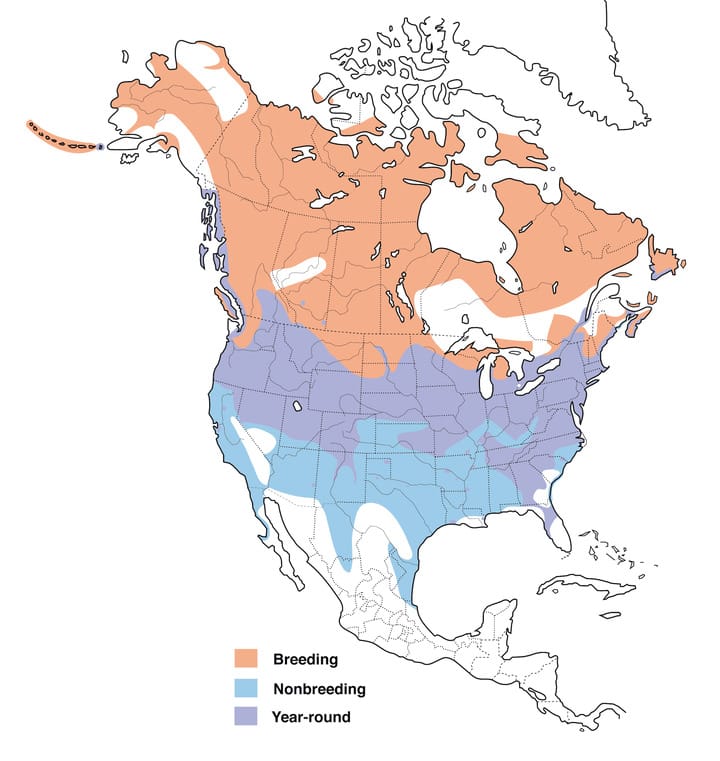 Canada goose range map
