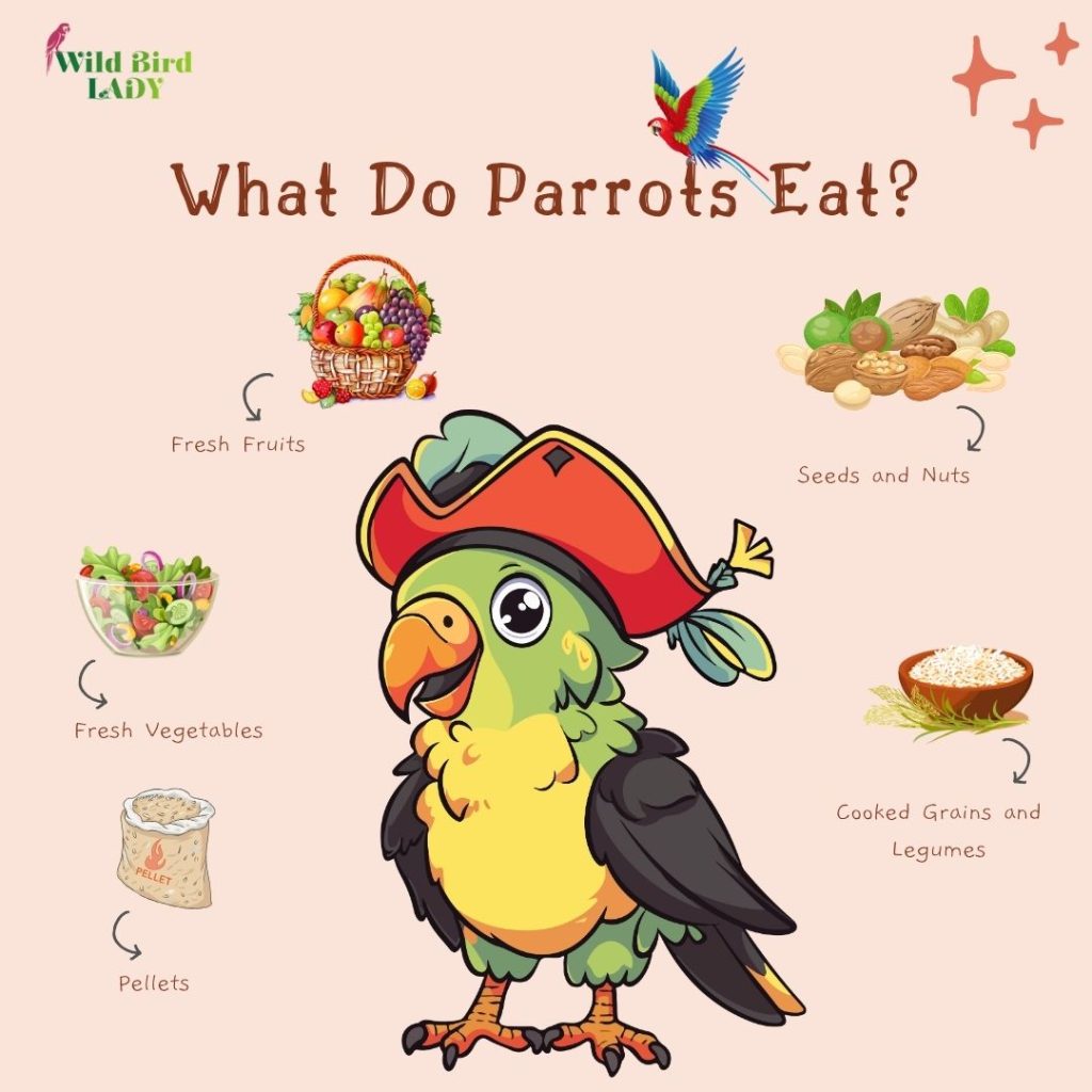What do parrots eat?
